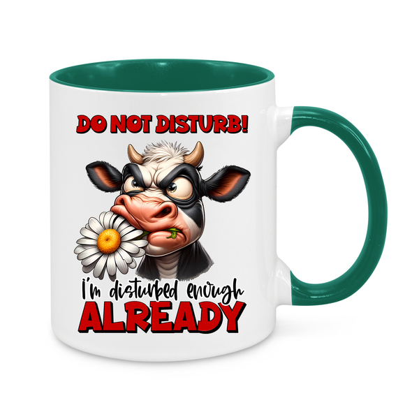 Do Not Disturb-Novelty Mug