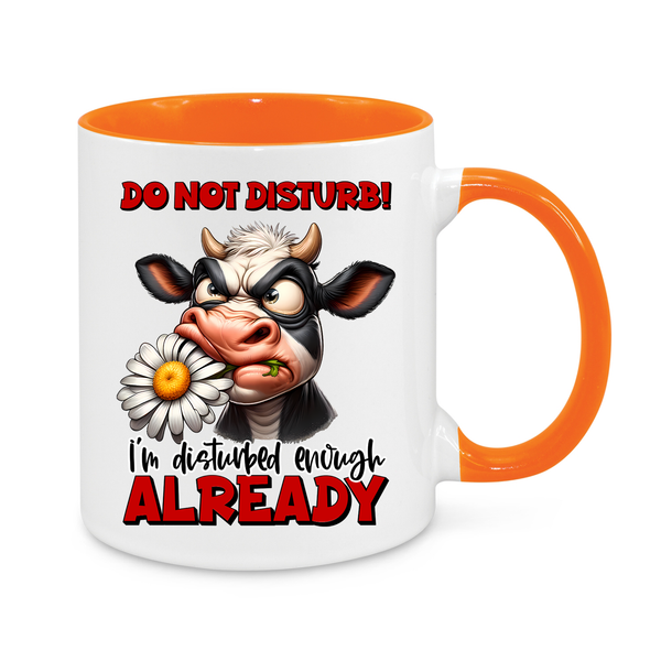 Do Not Disturb-Novelty Mug