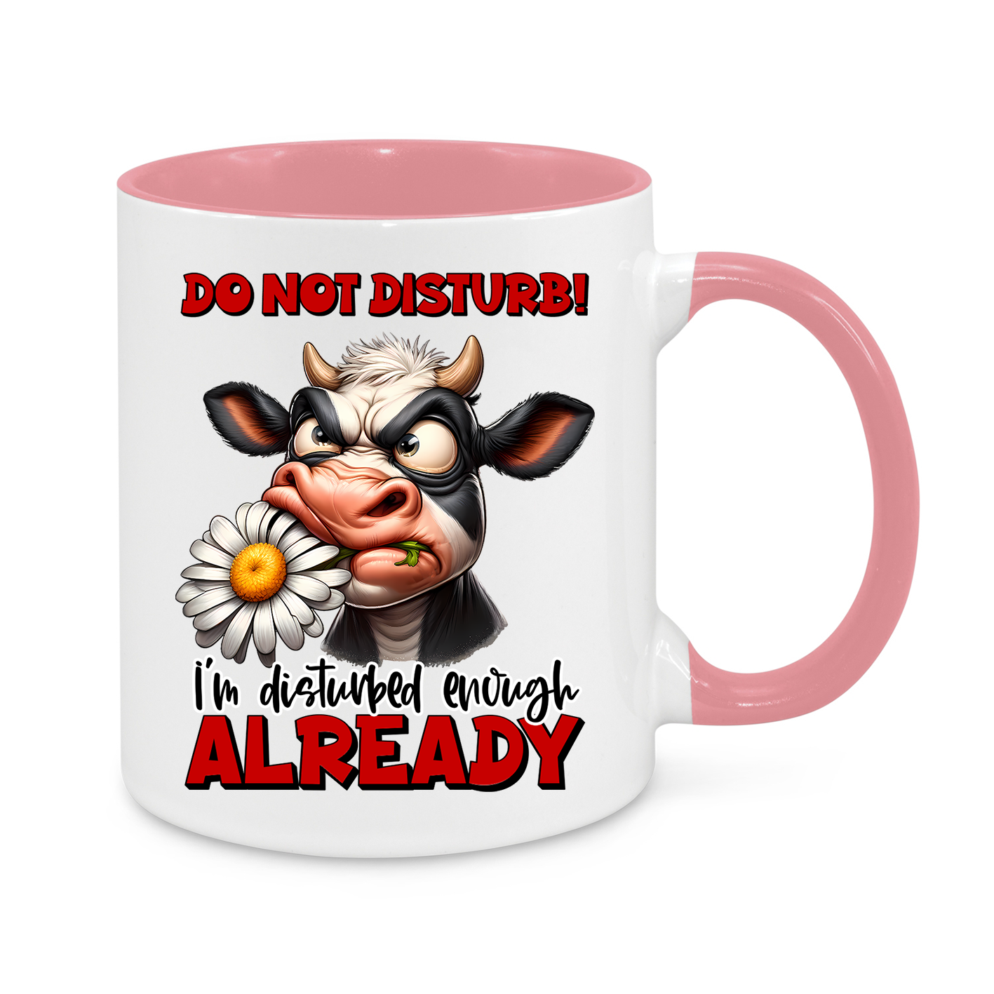 Do Not Disturb-Novelty Mug