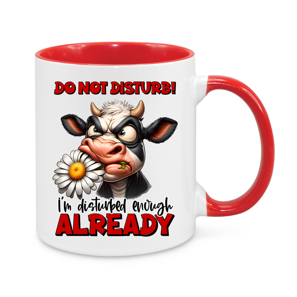 Do Not Disturb-Novelty Mug