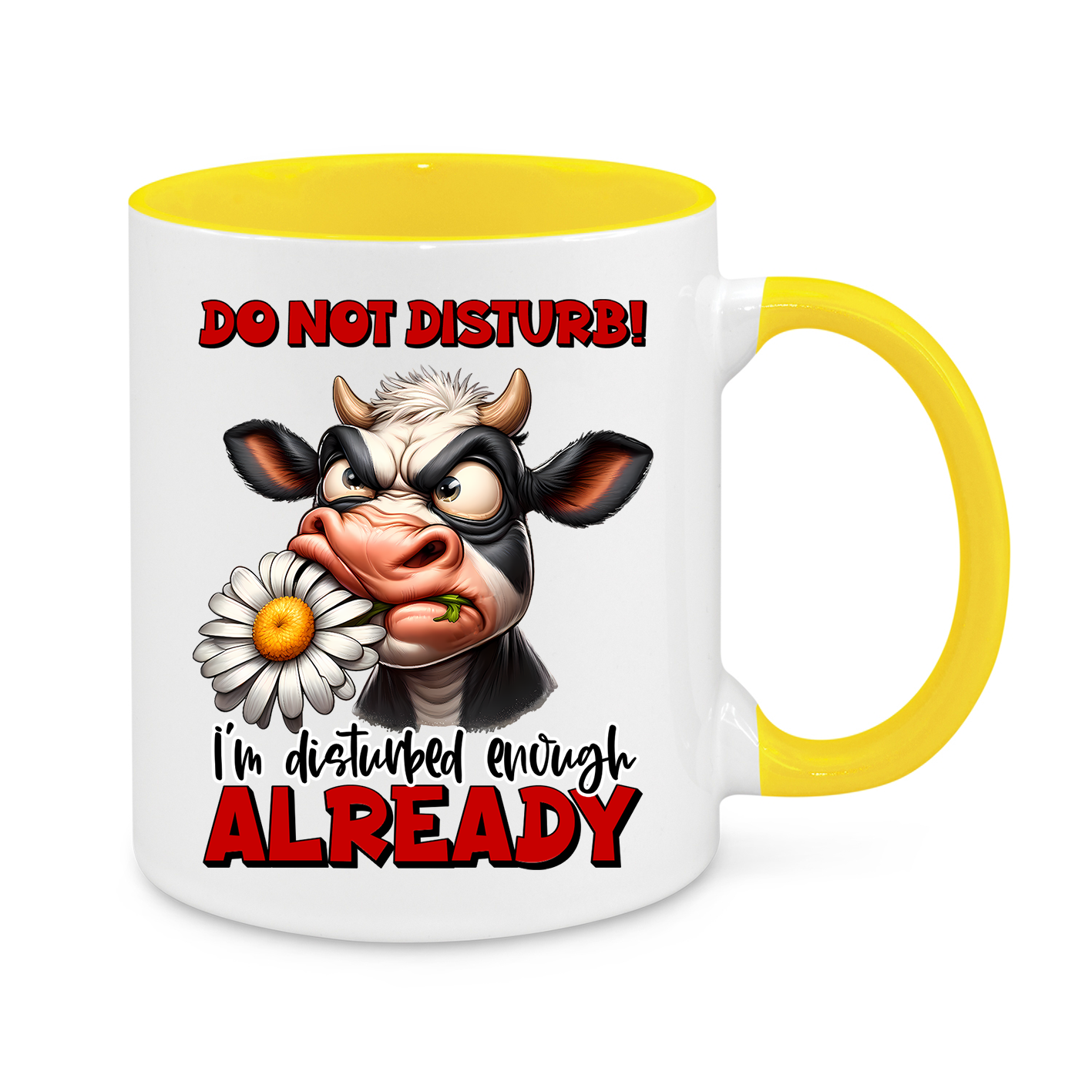 Do Not Disturb-Novelty Mug